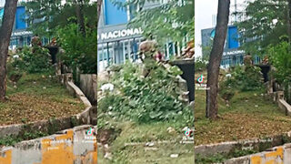 Rompe esas nalgas, te dicen los vecinos en un semáforo