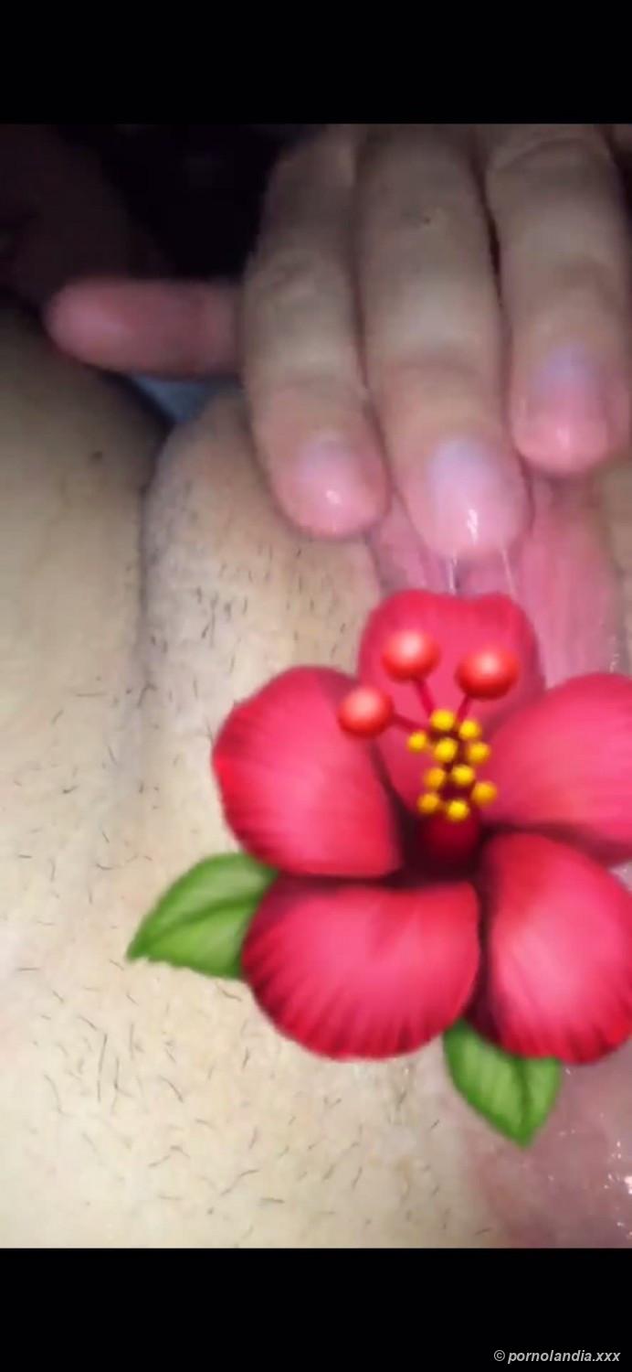 Fotos amadoras com namorada novinha - Foto 224627